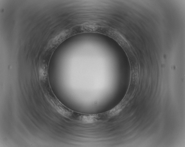 X0000086270134200703291445