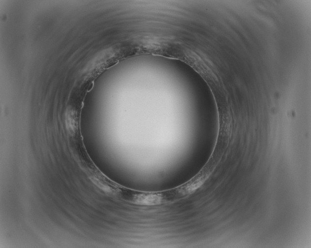 X0000086270135200703291445