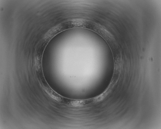 X0000086270136200703291445