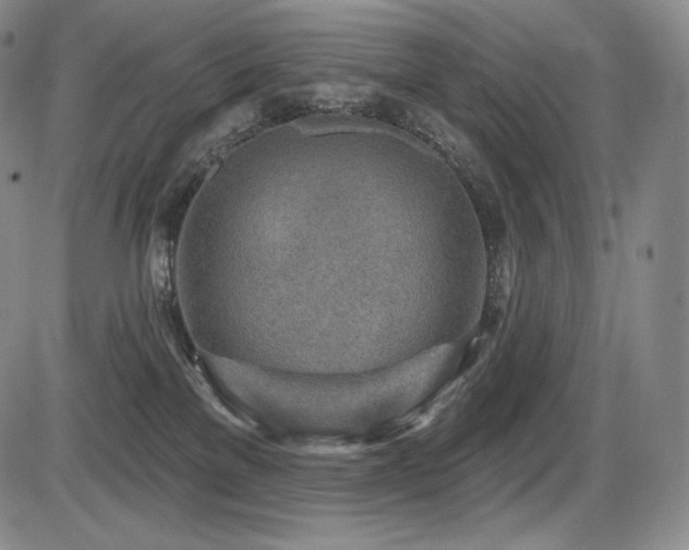 X0000086270137200703291445