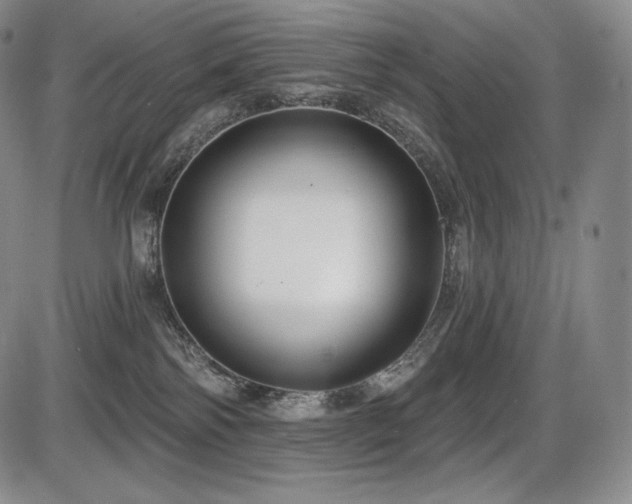 X0000086270138200703291445