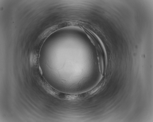 X0000086270139200703291445