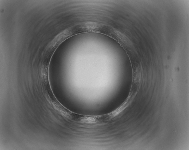 X0000086270140200703291445