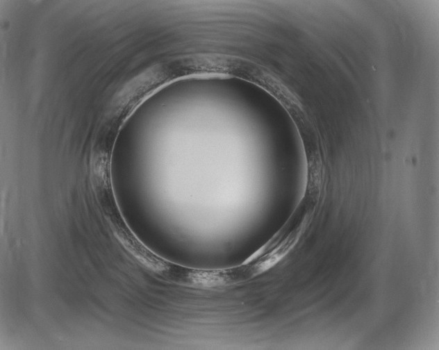 X0000086270141200703291445