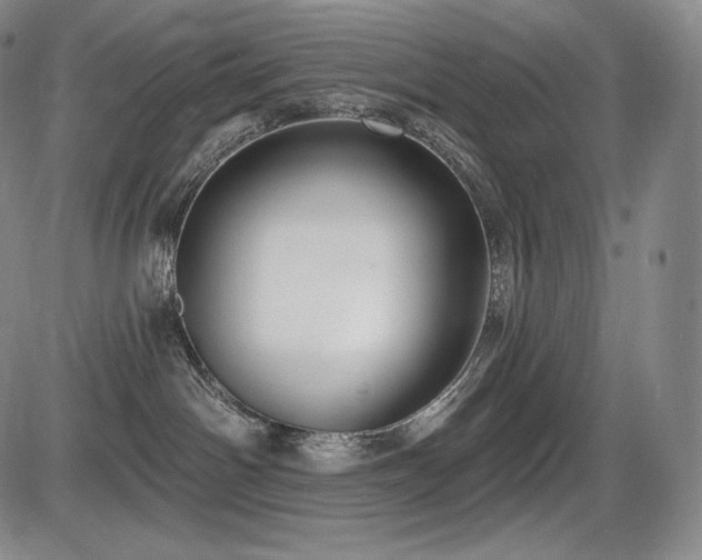 X0000086270142200703291445