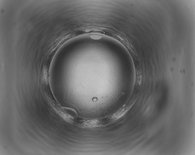 X0000086270143200703291445