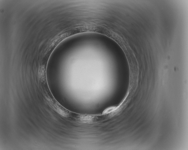 X0000086270144200703291445