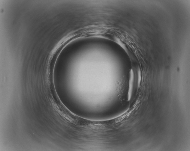 X0000086270150200703291444