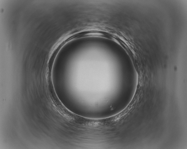 X0000086270152200703291444