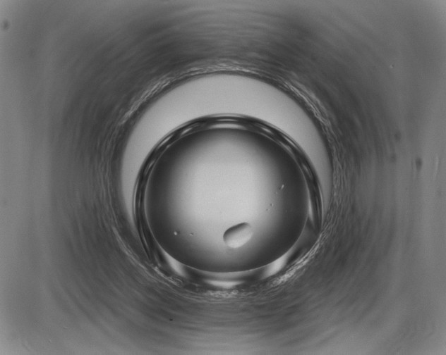 X0000086270158200703291444