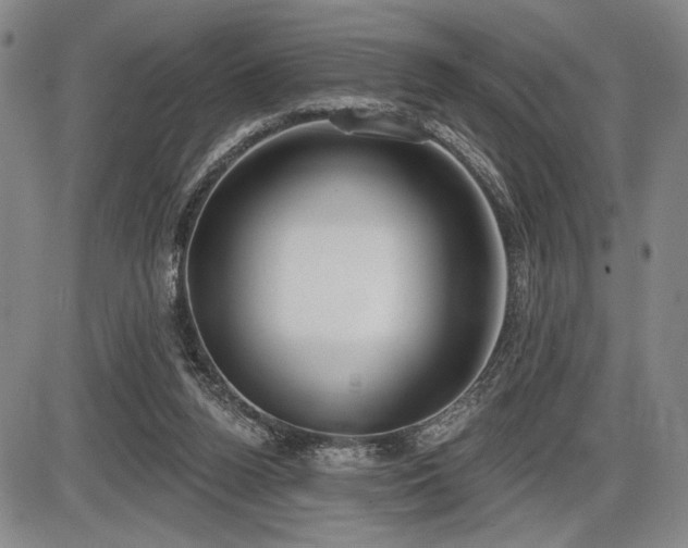 X0000086270160200703291444