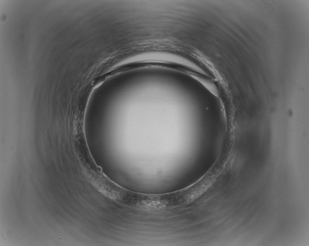 X0000086270161200703291444