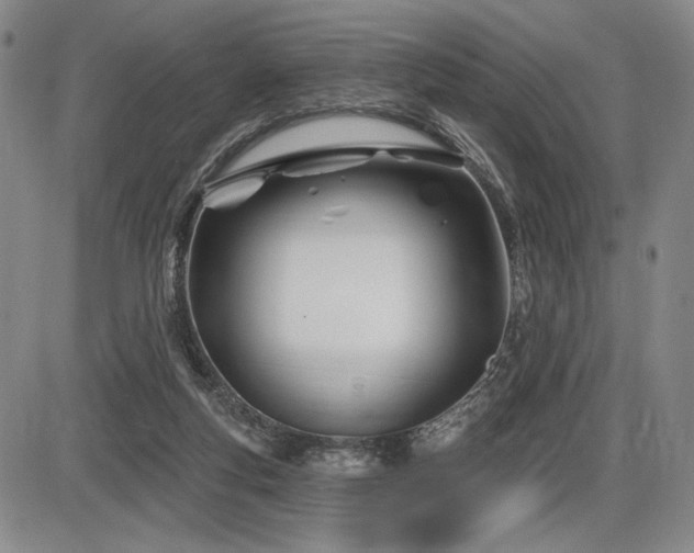 X0000086270163200703291445