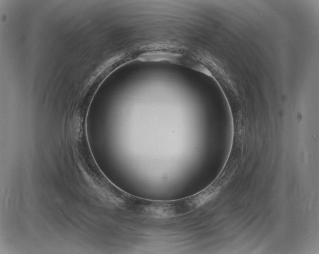 X0000086270164200703291445