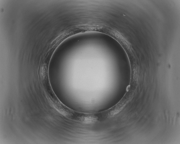 X0000086270165200703291445