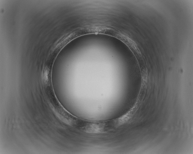 X0000086270166200703291445