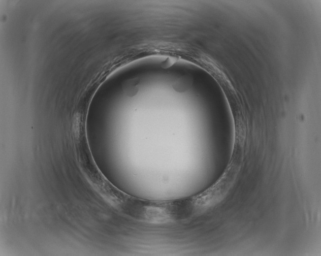 X0000086270167200703291445