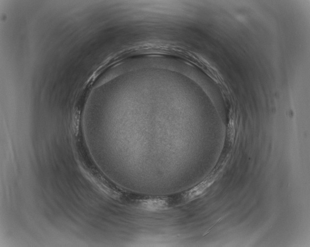 X0000086270168200703291445