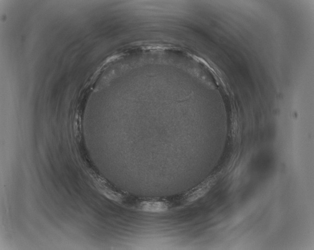 X0000086270169200703291445