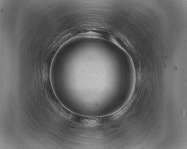 X0000086270170200703291445