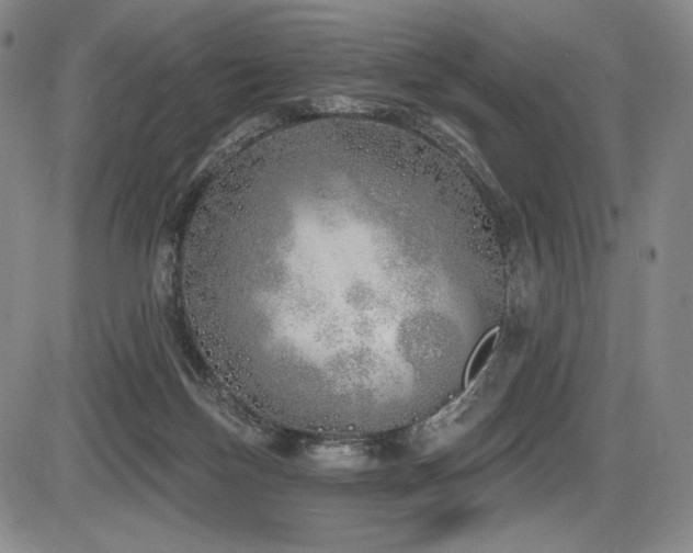 X0000086270171200703291445