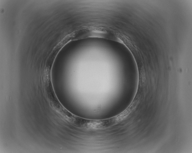 X0000086270172200703291445