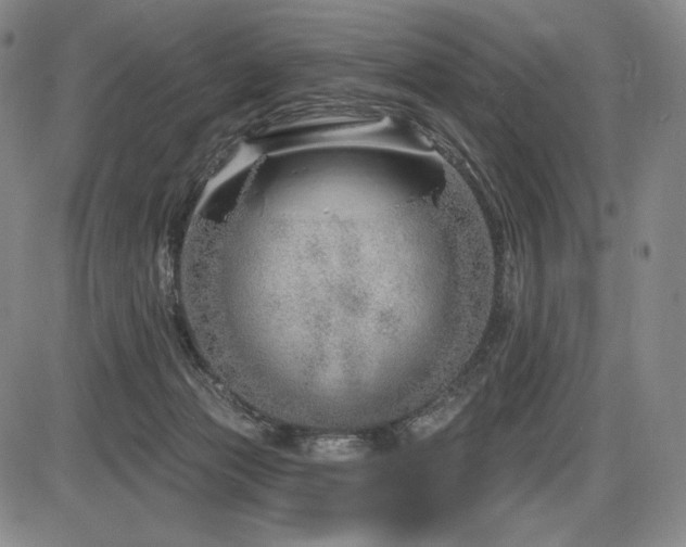 X0000086270173200703291445