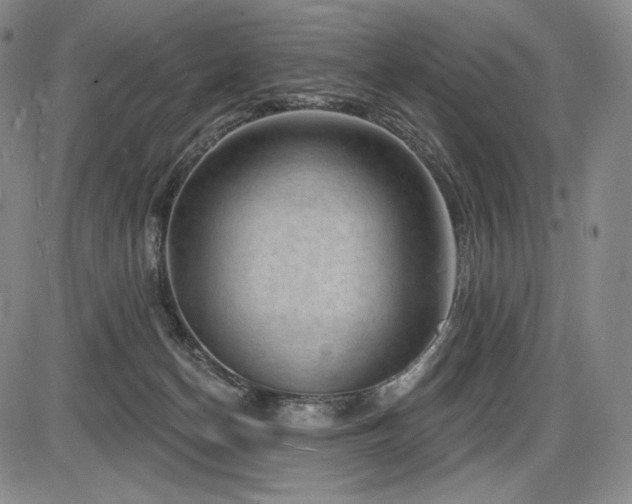 X0000086270174200703291445