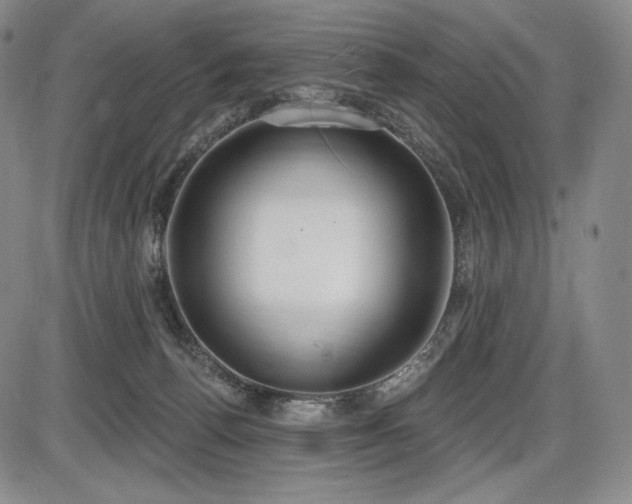 X0000086270176200703291445