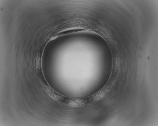 X0000086270177200703291445