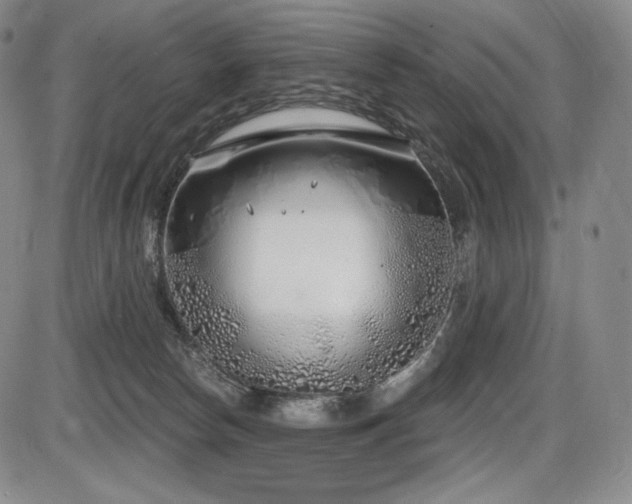 X0000086270178200703291445