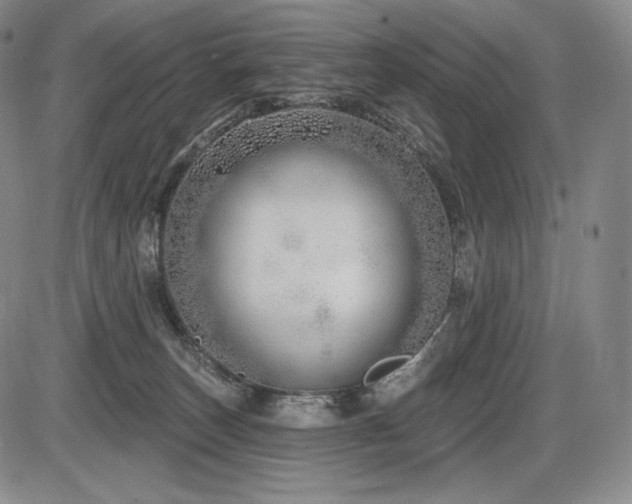 X0000086270179200703291445