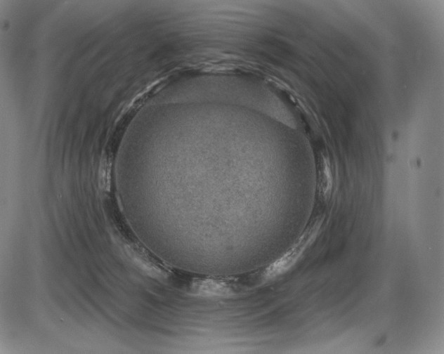 X0000086270180200703291445