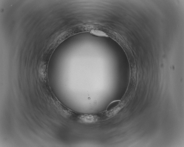 X0000086270181200703291445