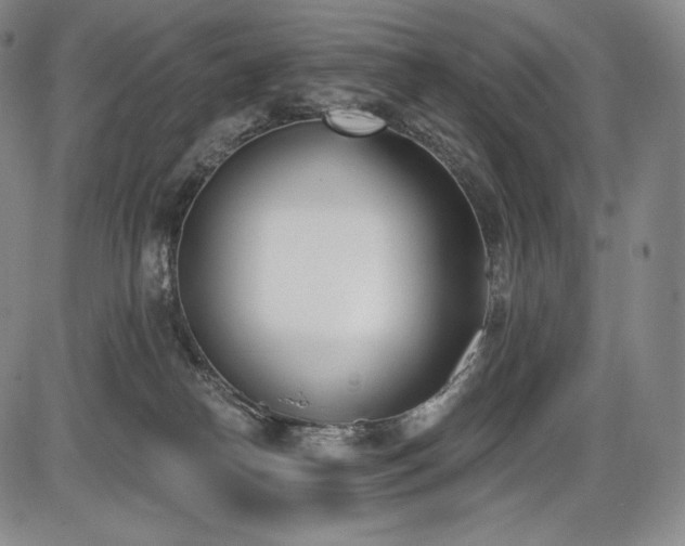 X0000086270182200703291445