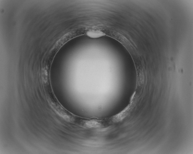 X0000086270183200703291445