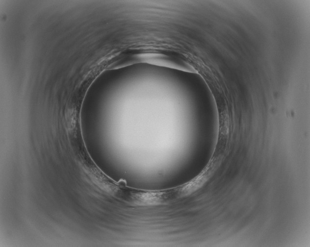 X0000086270184200703291445