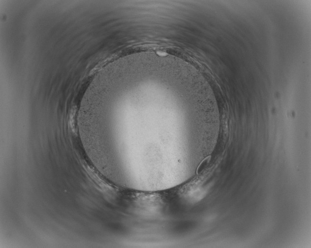 X0000086270185200703291445