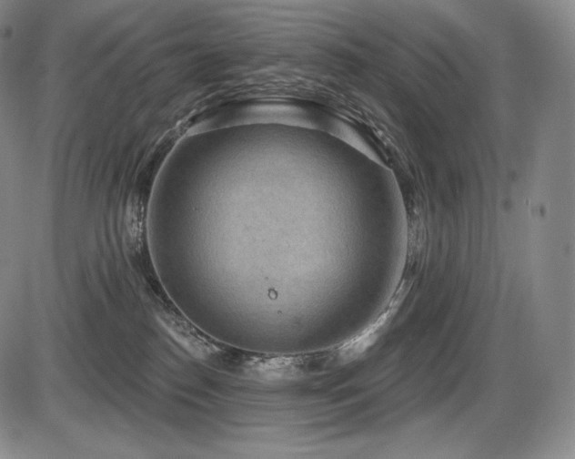 X0000086270186200703291445