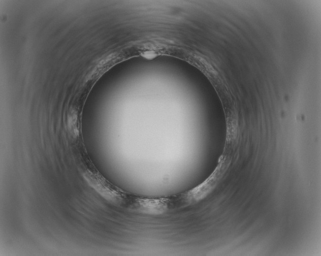 X0000086270187200703291445