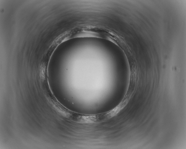 X0000086270188200703291445