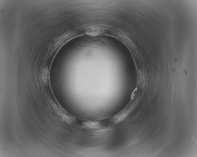 X0000086270189200703291445