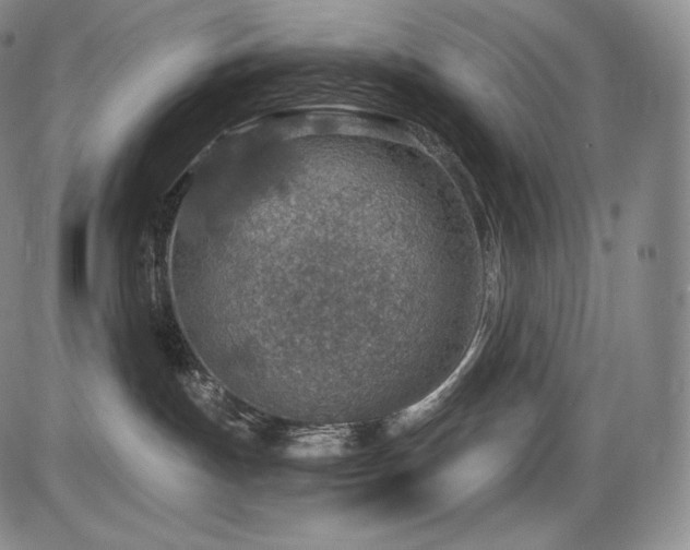 X0000086270191200703291445