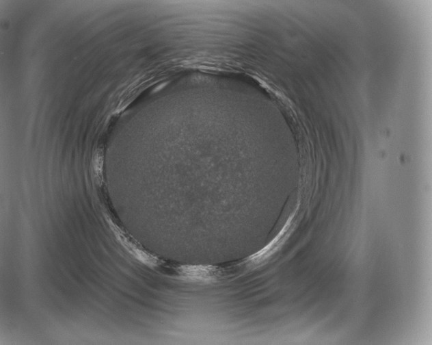 X0000086270192200703291445