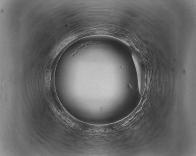 X0000086270194200703291444