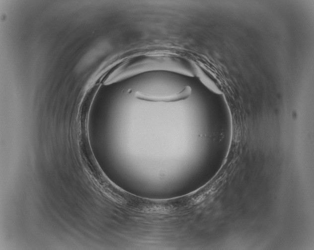 X0000086270198200703291444