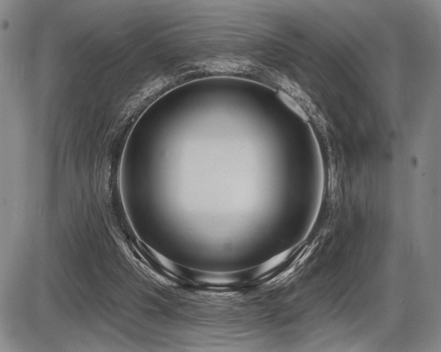 X0000086270201200703291444