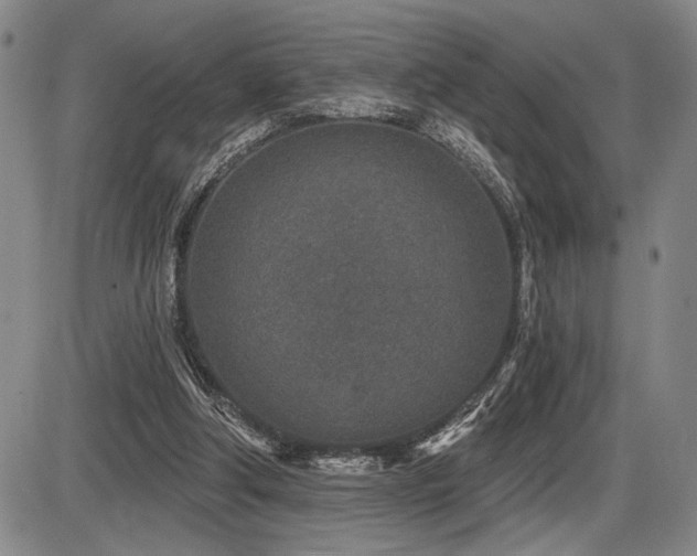 X0000086270202200703291444