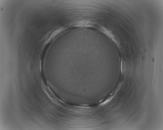 X0000086270205200703291444