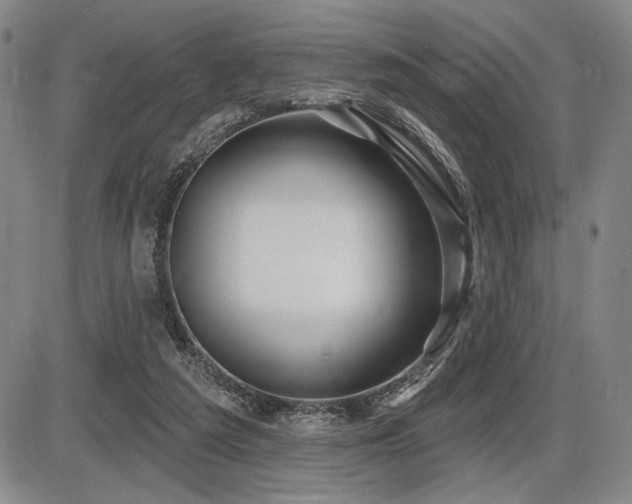 X0000086270209200703291444